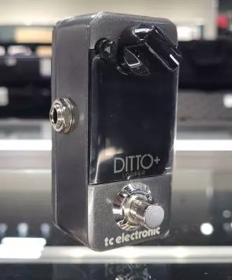 Store Special Product - TC Electronic - DITTOPLUSLOOPER